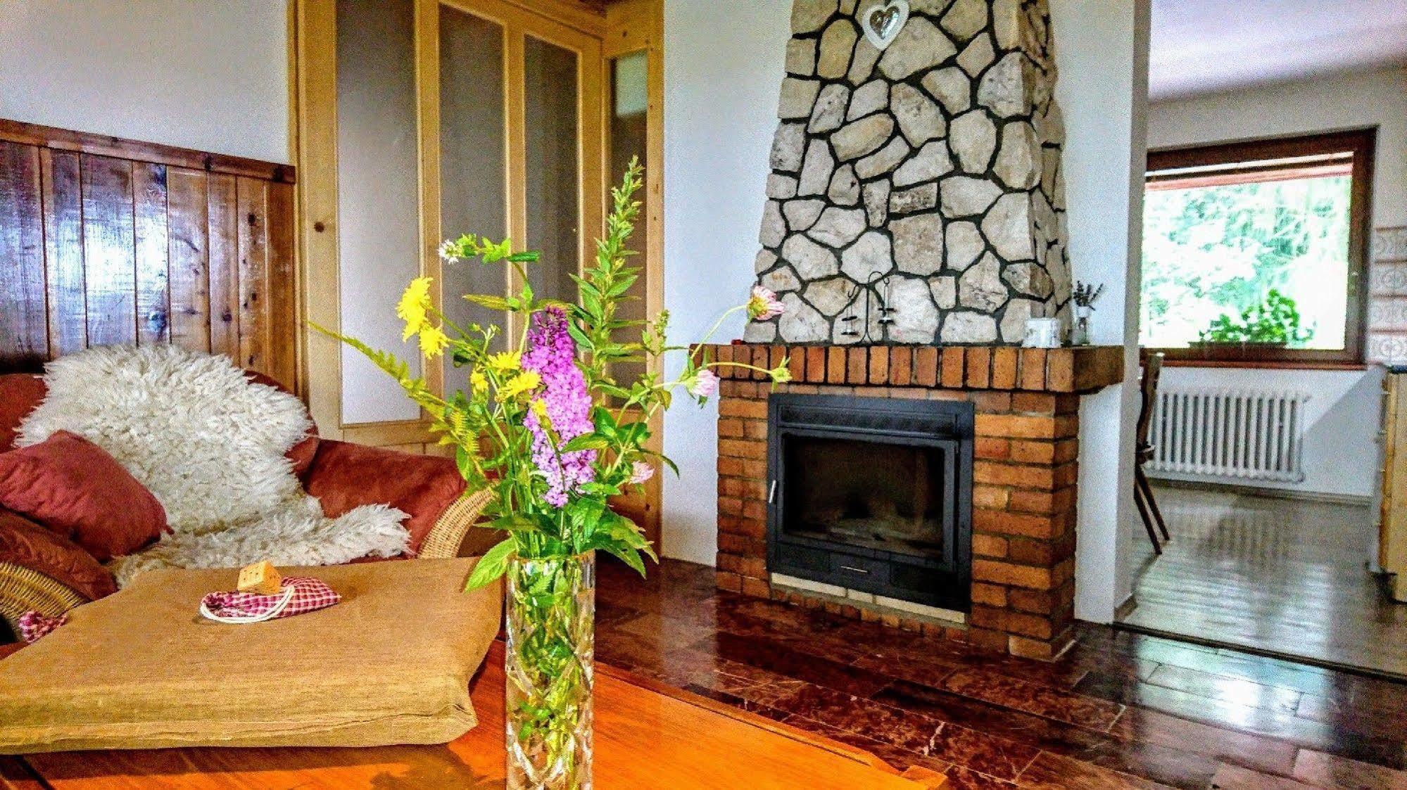 Penzion Bor Náchod Dış mekan fotoğraf